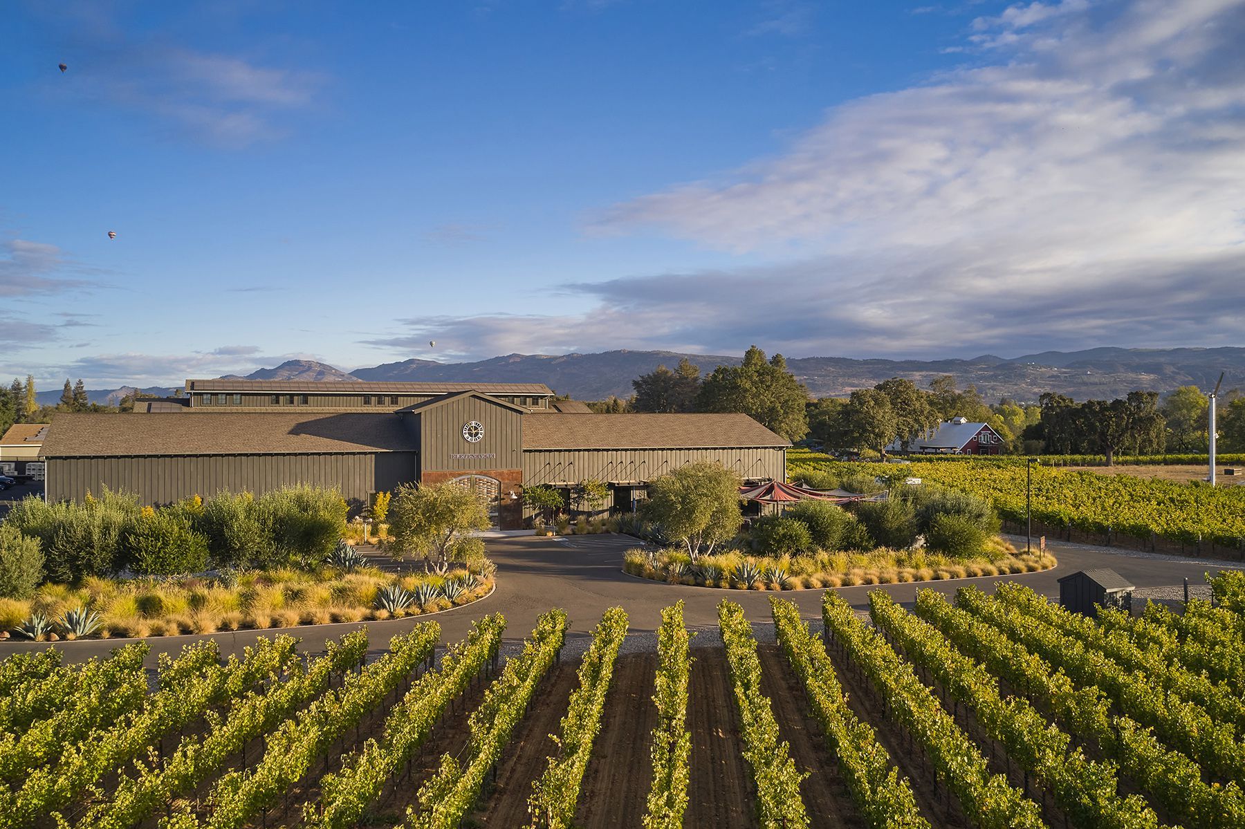 Eleven Eleven Wines