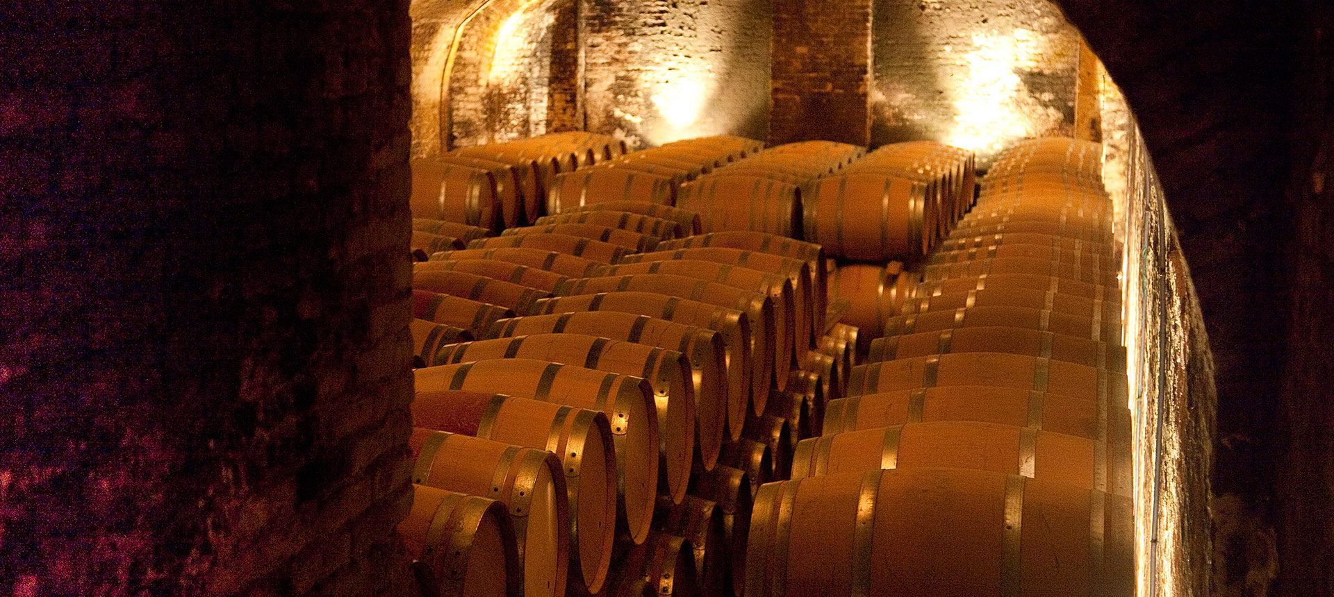 Pio Cesare Cellar