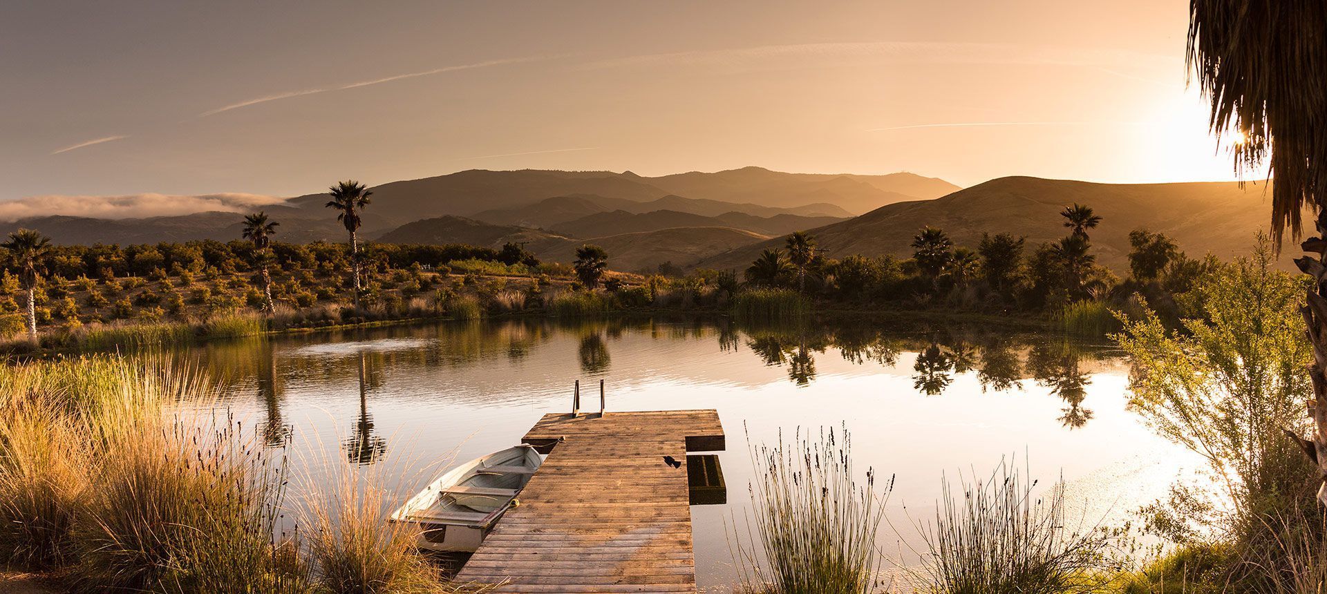 Rancho Guacamole Lake Landscape