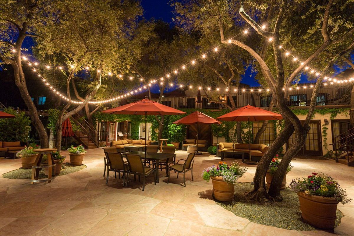 Grgich Hills Wine Tasting