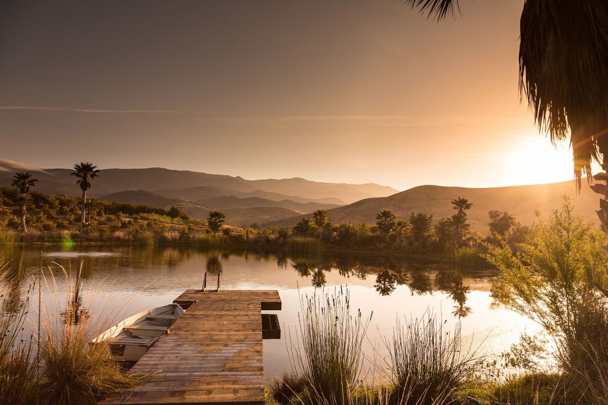 Rancho Guacamole Landscape