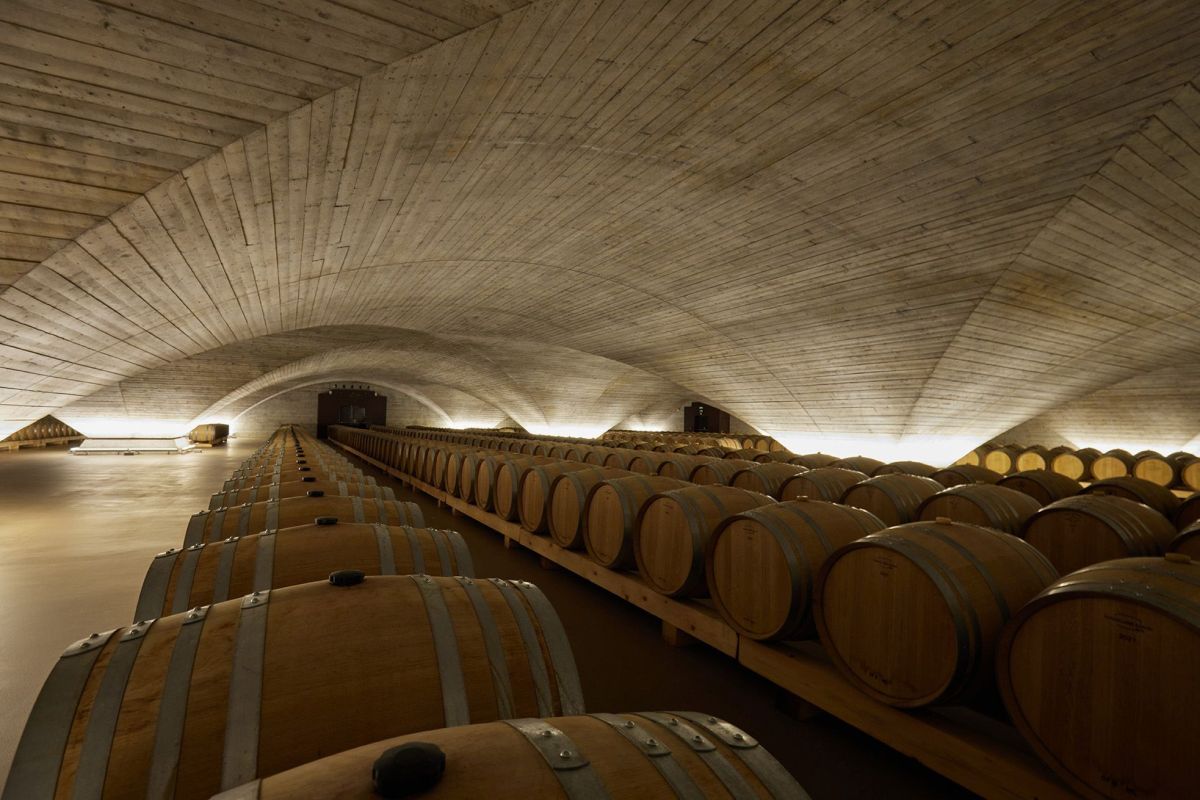 New Cellar 2023