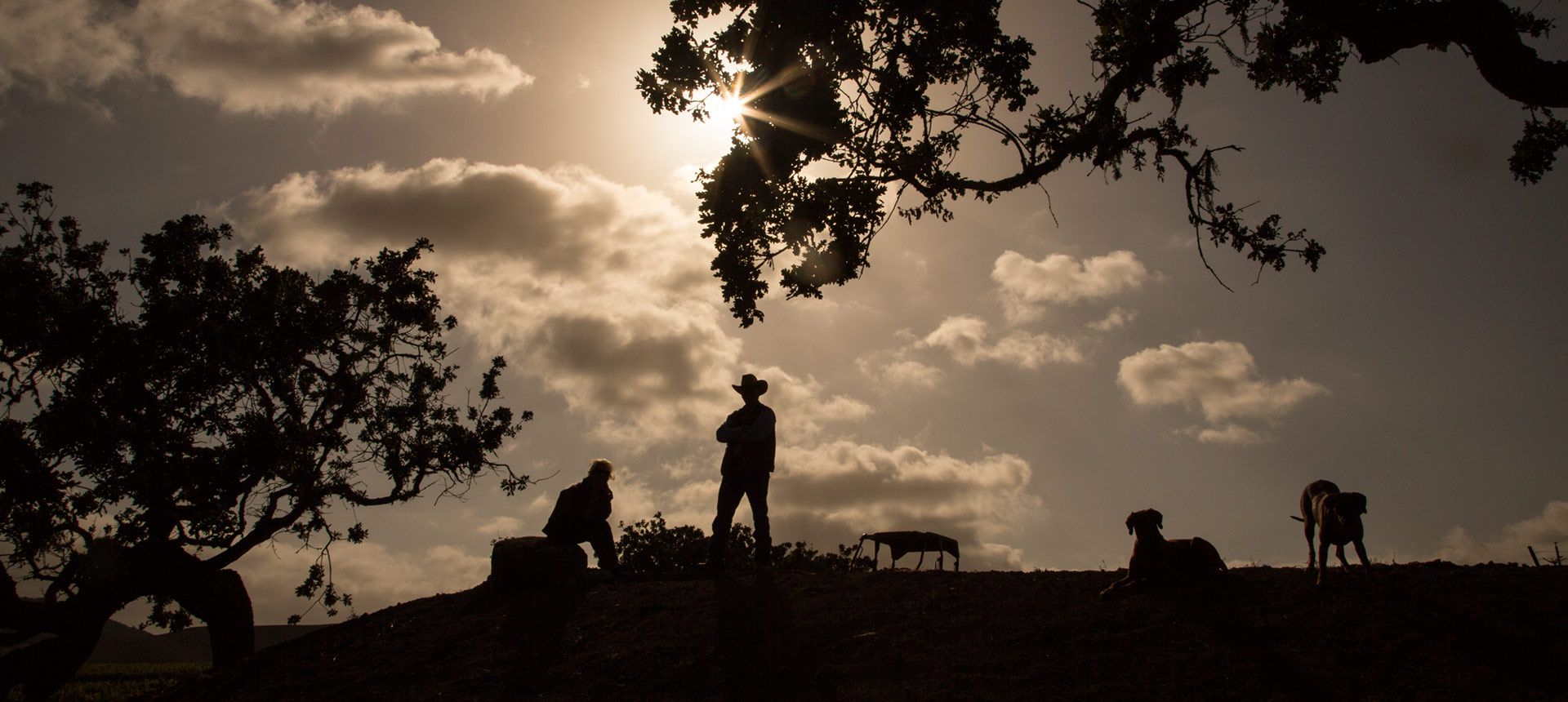 Shilouette Pence Ranch