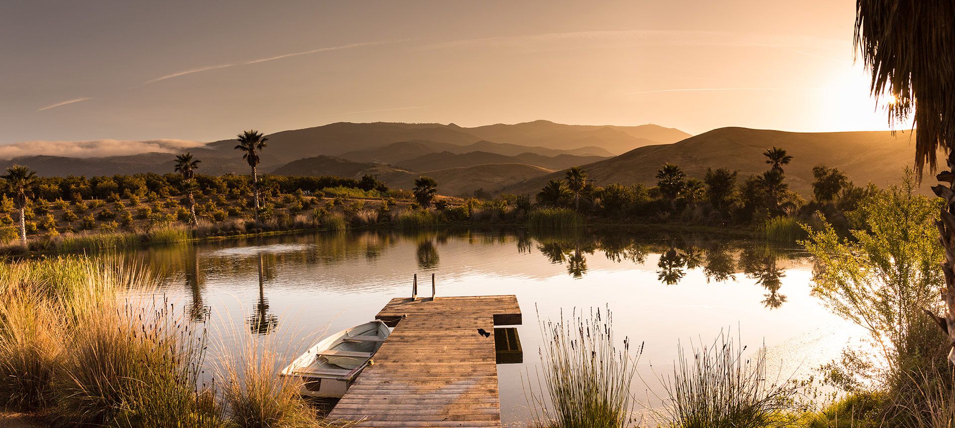 Rancho Guacamole Lake Landscape