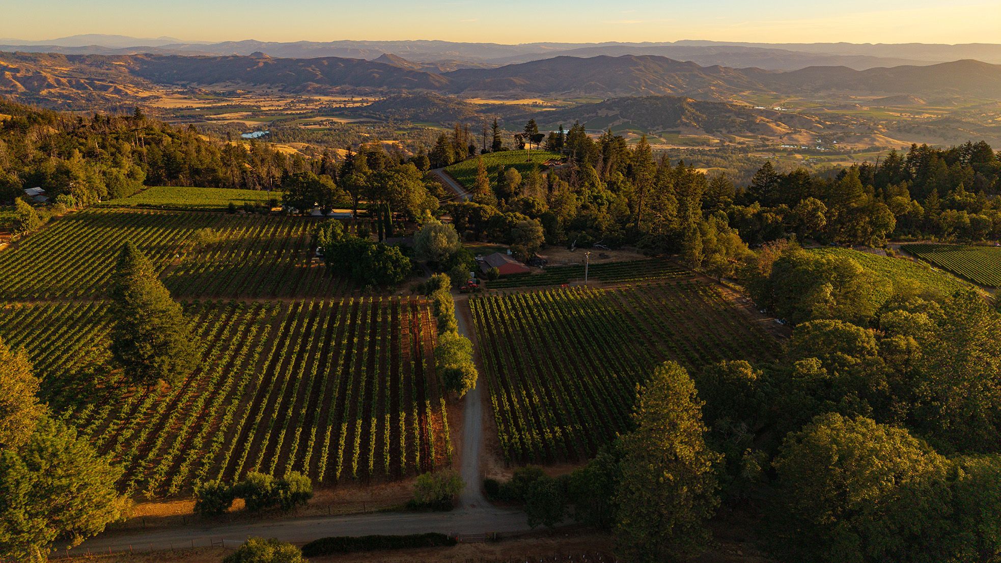 Domaine Alice Hartmann