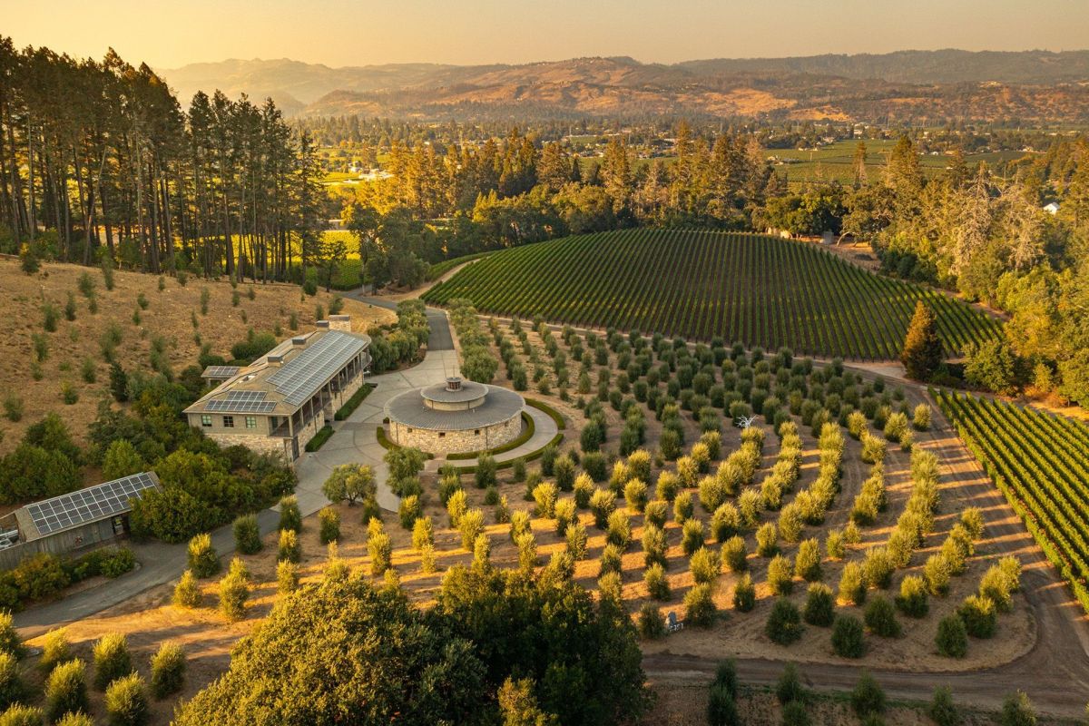 aerial drone photography of Marciano Estate